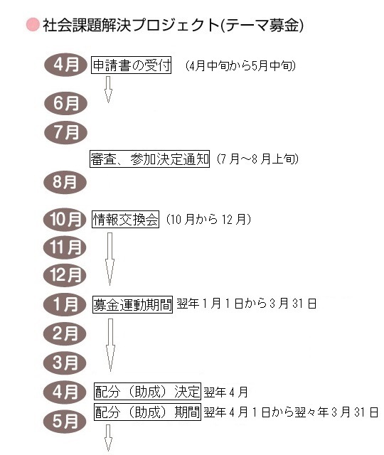 共同募金の申請から配分（助成）・事業実施のスケジュール